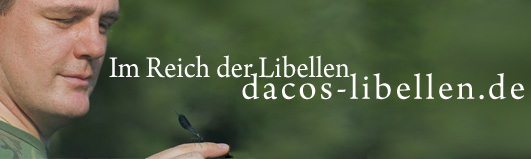 Libellen.jpg
